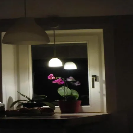 Apartment Johannis-nest *