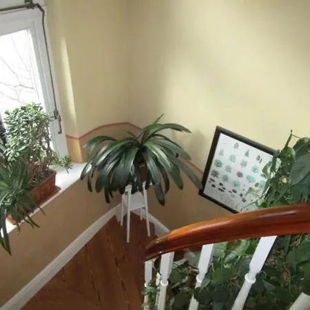 Apartment Johannis-nest